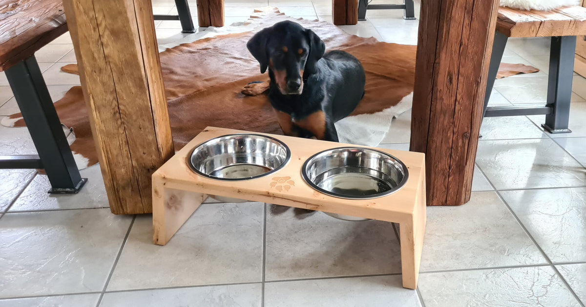 Futterstation für Hunde und Katzen