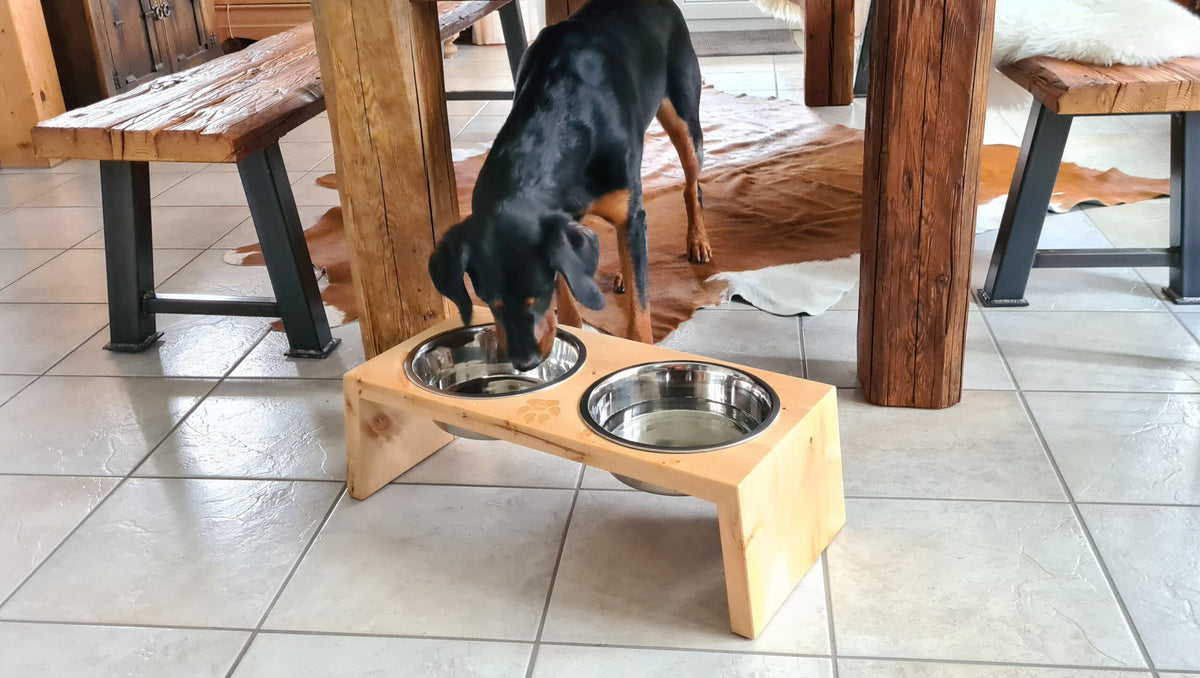 Futterstation für Hunde und Katzen